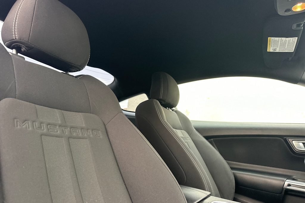 Thumbnail: 2019 Ford Mustang - 10