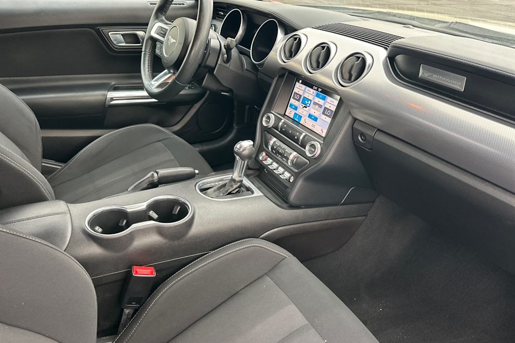Thumbnail: 2019 Ford Mustang - 13