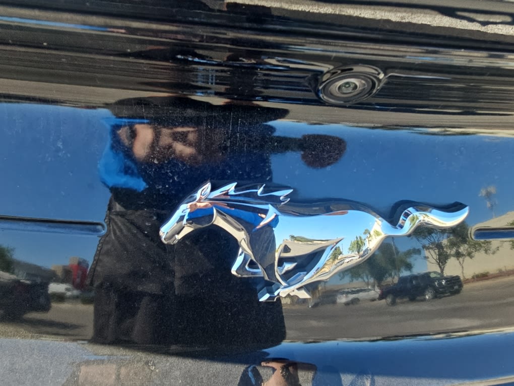 Thumbnail: 2020 Ford Mustang - 19