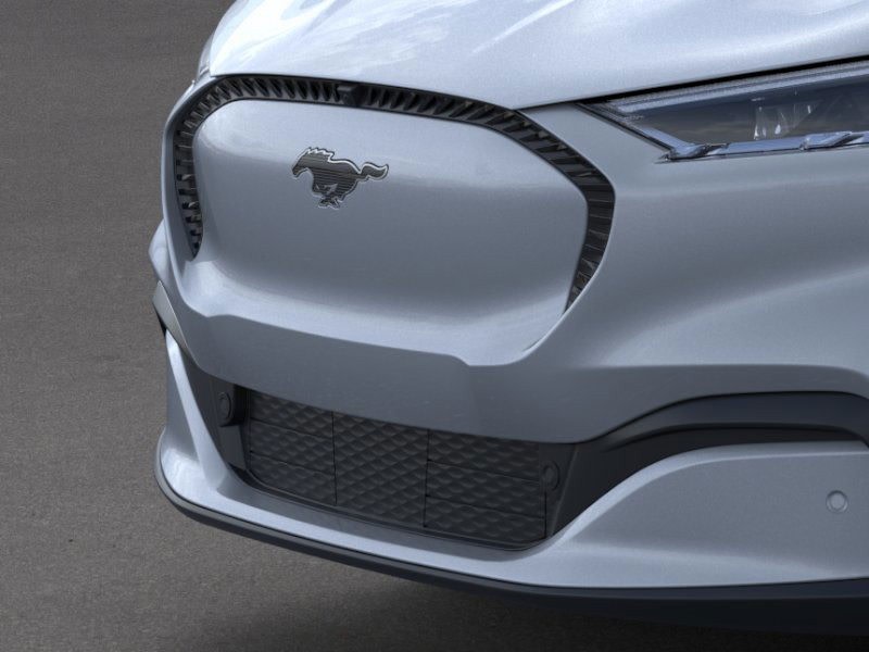 2025 Ford Mustang Mach-E Select 19
