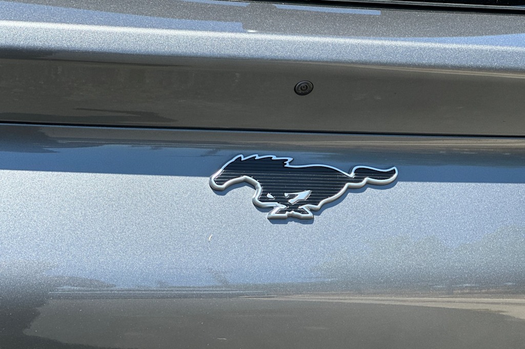 Thumbnail: 2023 Ford Mustang Mach-E - 7