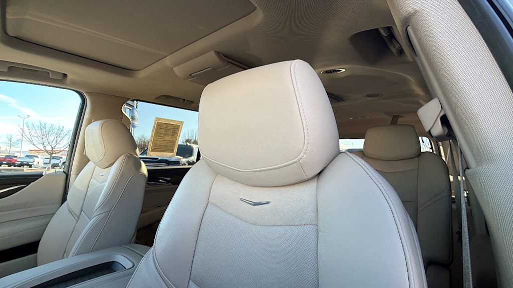 Thumbnail: 2019 Cadillac Escalade - 10