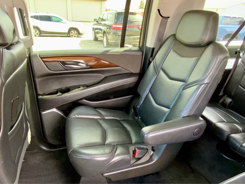 Thumbnail: 2020 Cadillac Escalade - 31