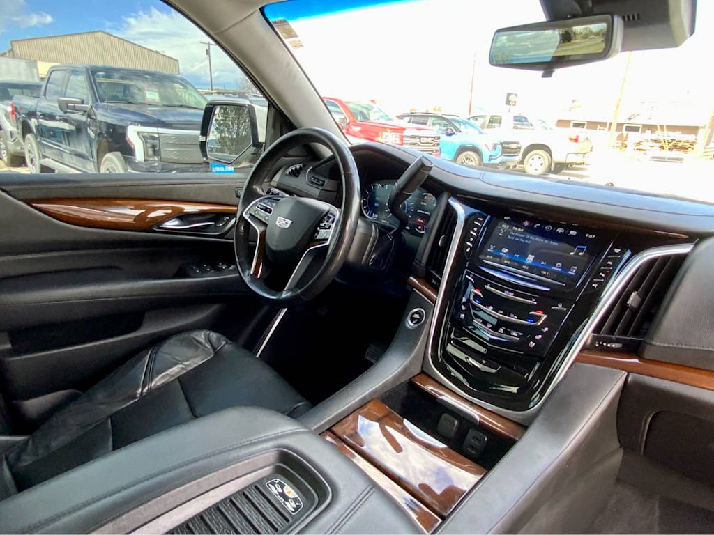 Thumbnail: 2020 Cadillac Escalade - 14