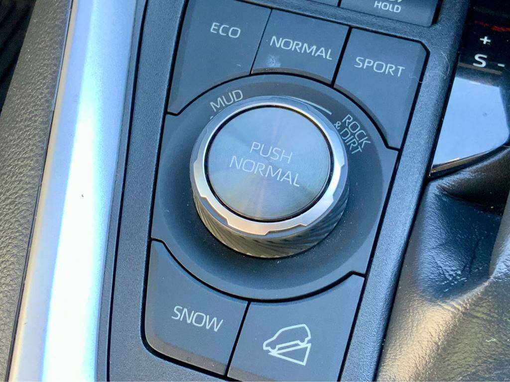 Thumbnail: 2019 Toyota RAV4 - 41
