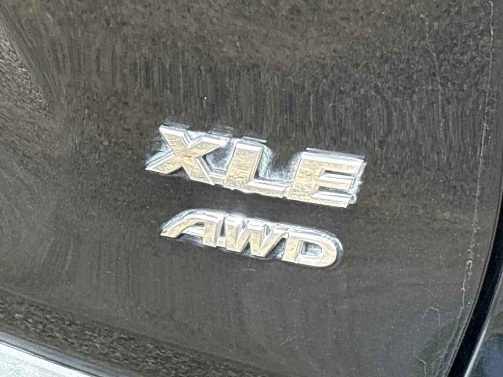 Thumbnail: 2019 Toyota RAV4 - 30