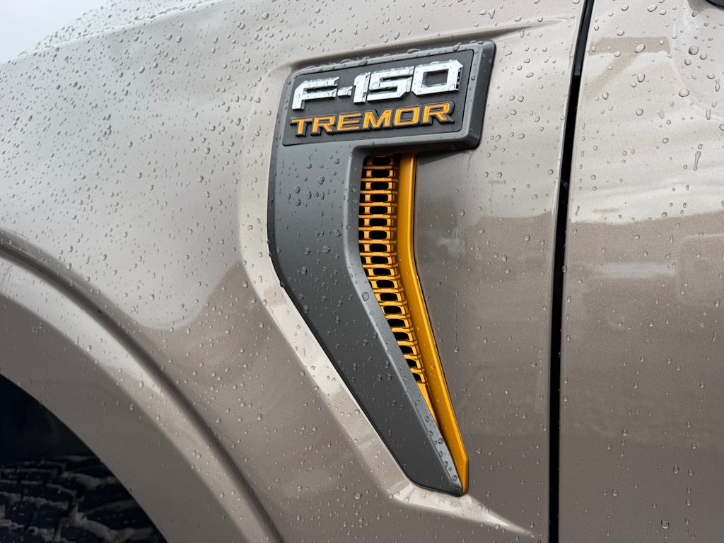 Thumbnail: 2021 Ford F-150 - 30