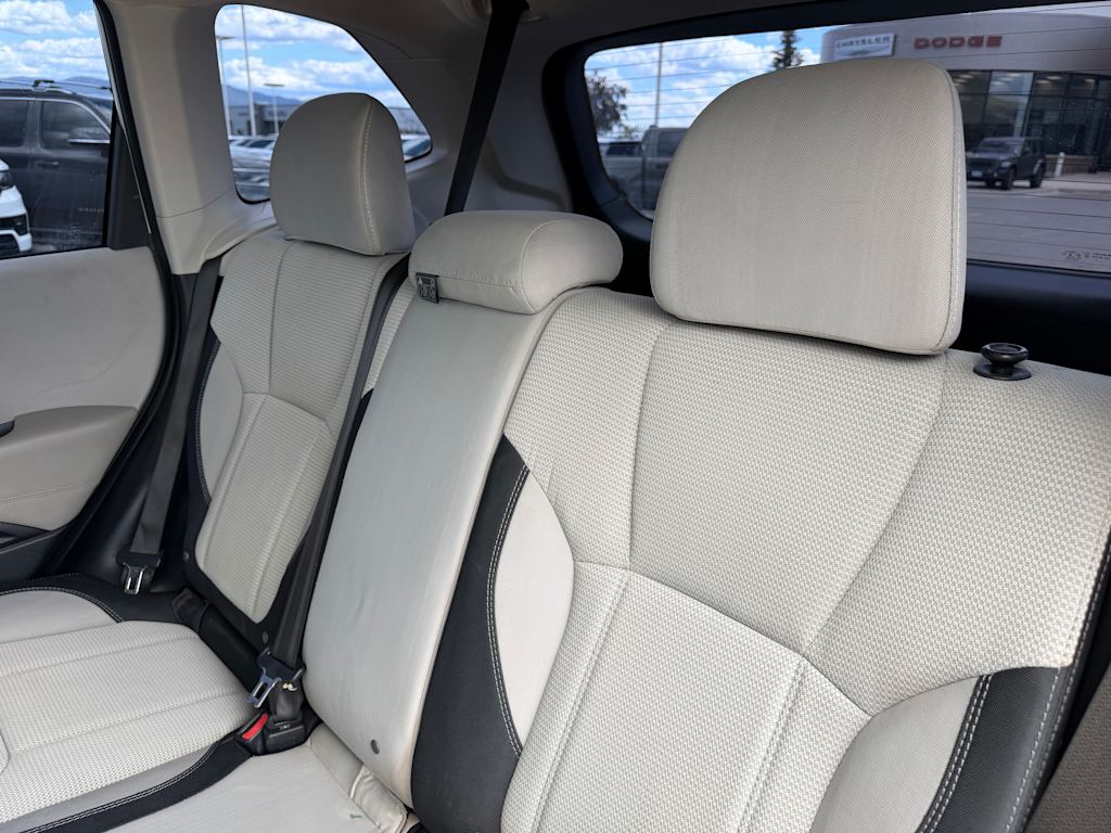 Thumbnail: 2019 Subaru Forester - 9