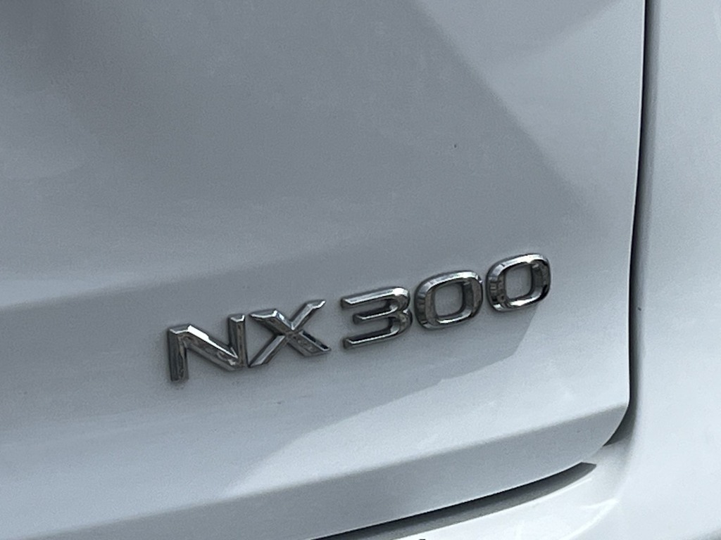 2018 Lexus NX 300 7