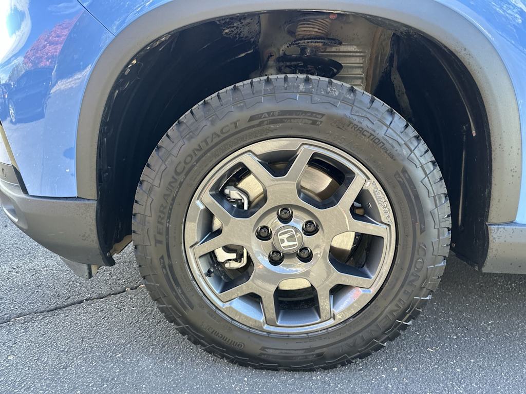 Thumbnail: 2024 Honda Pilot - 6