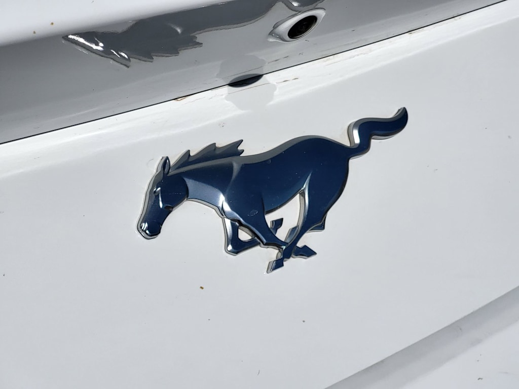 Thumbnail: 2024 Ford Mustang - 4
