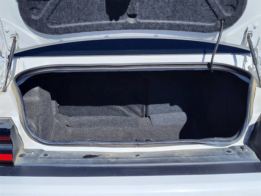 Thumbnail: 2018 Dodge Challenger - 16