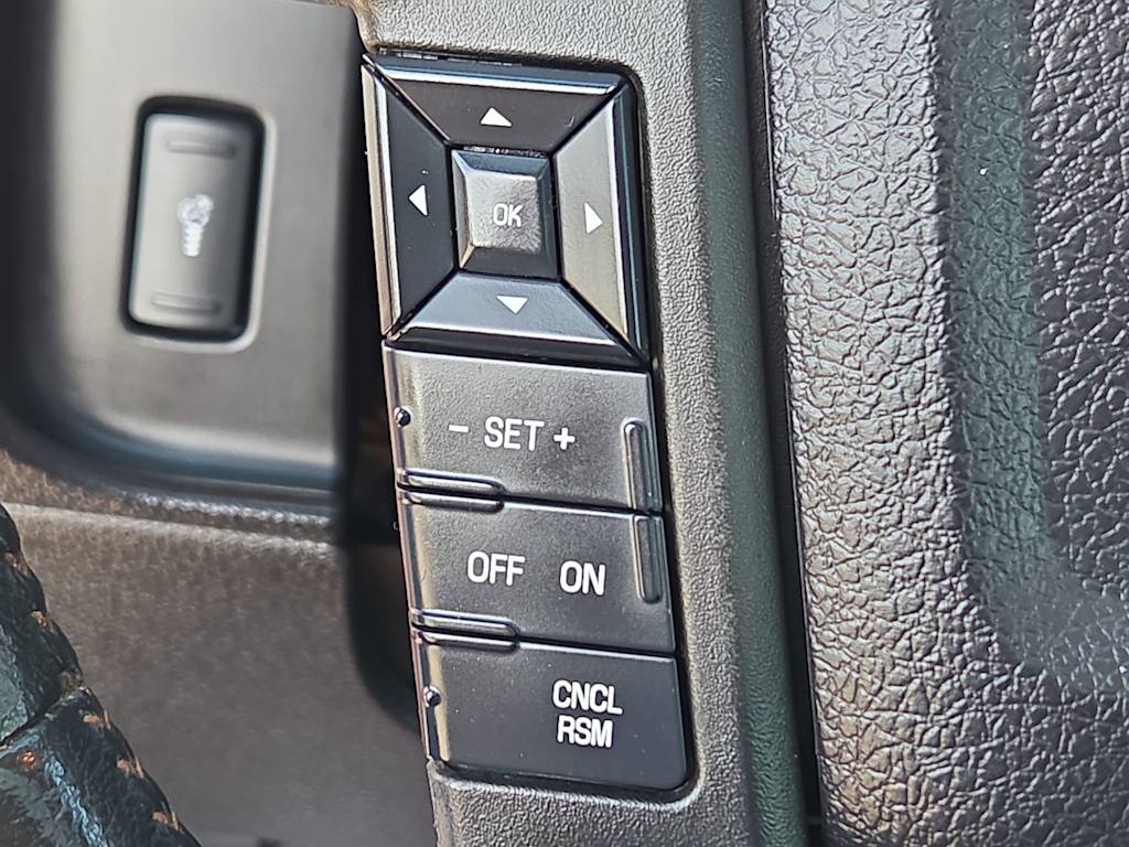 Thumbnail: 2016 Ford Expedition - 22