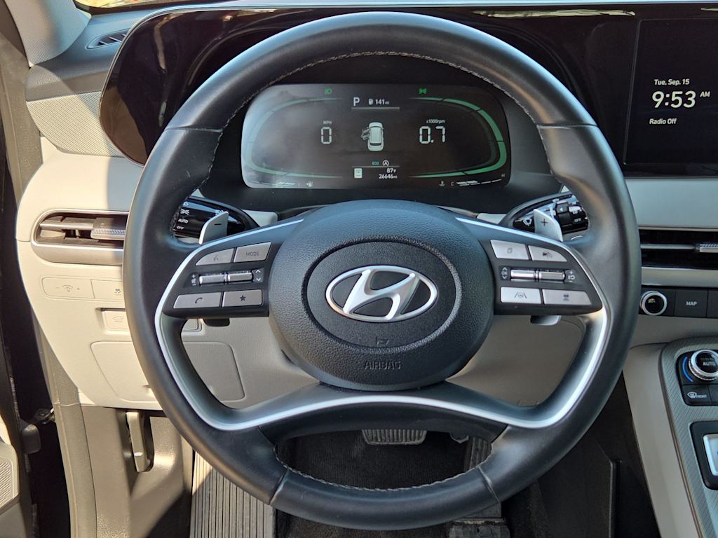 Thumbnail: 2025 Hyundai Palisade - 14