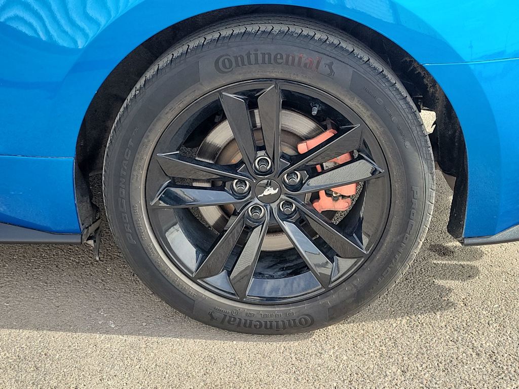 Thumbnail: 2019 Ford Mustang - 7