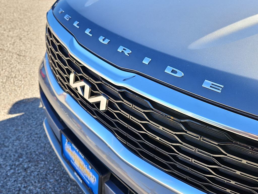 Thumbnail: 2022 Kia Telluride - 22