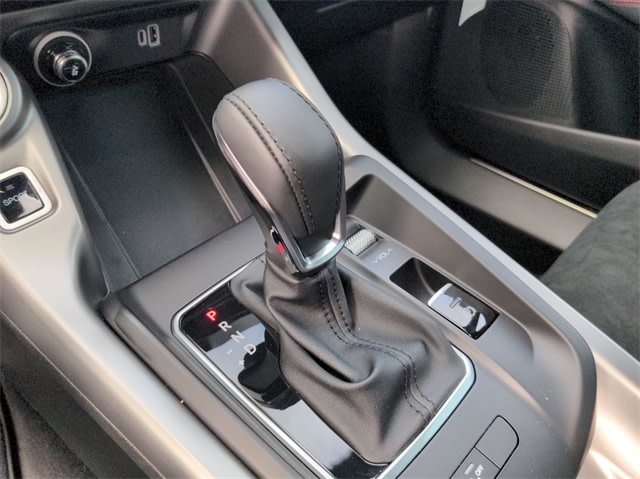 2024 Dodge Hornet R/T 14