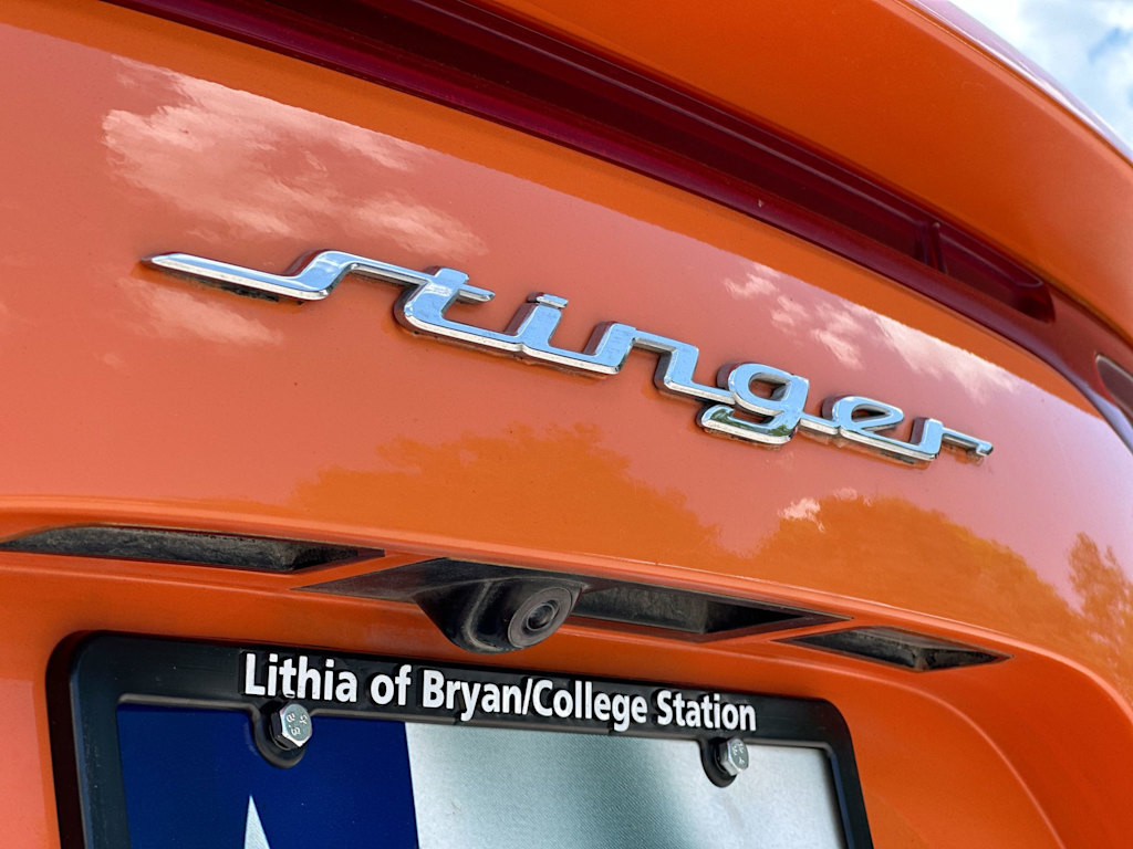 Thumbnail: 2019 Kia Stinger - 7