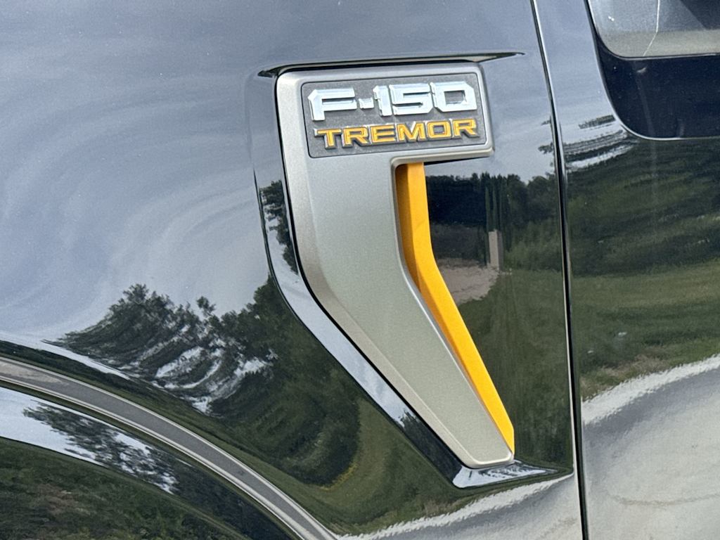 Thumbnail: 2025 Ford F-150 - 14