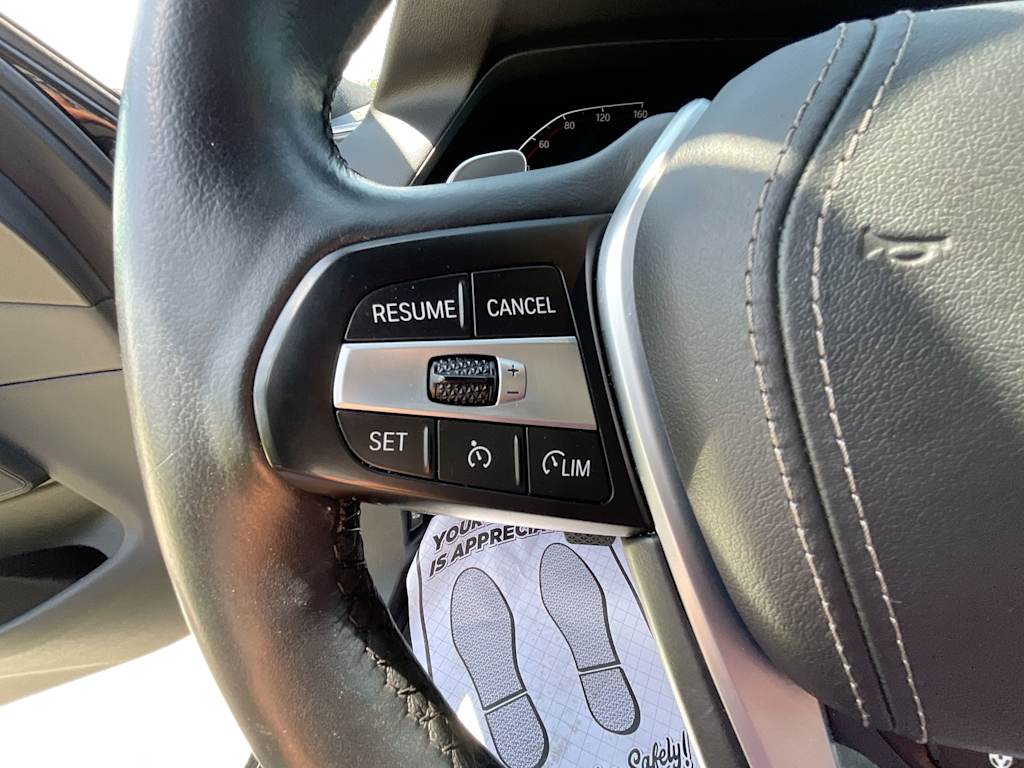 Thumbnail: 2019 BMW X5 - 31