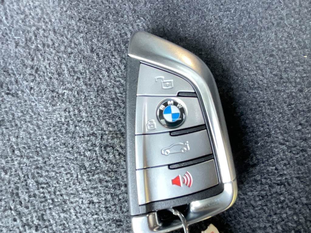 Thumbnail: 2019 BMW X5 - 19