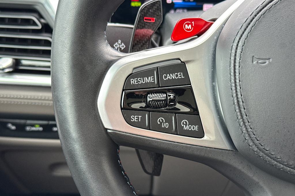 Thumbnail: 2024 BMW X6 - 31