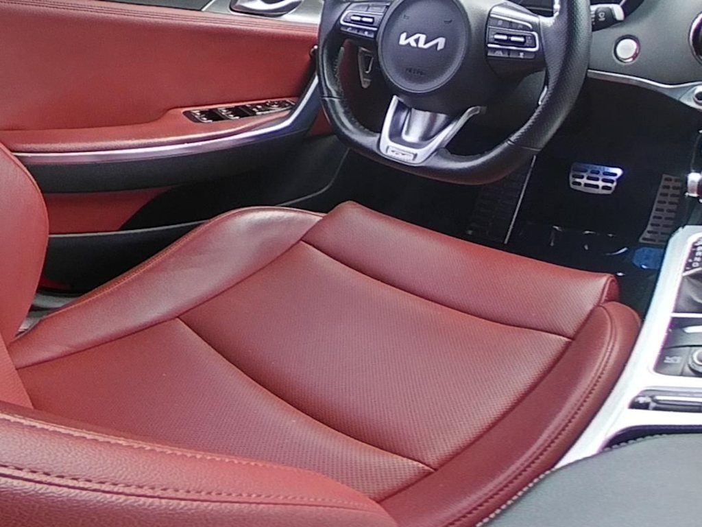Thumbnail: 2022 Kia Stinger - 16