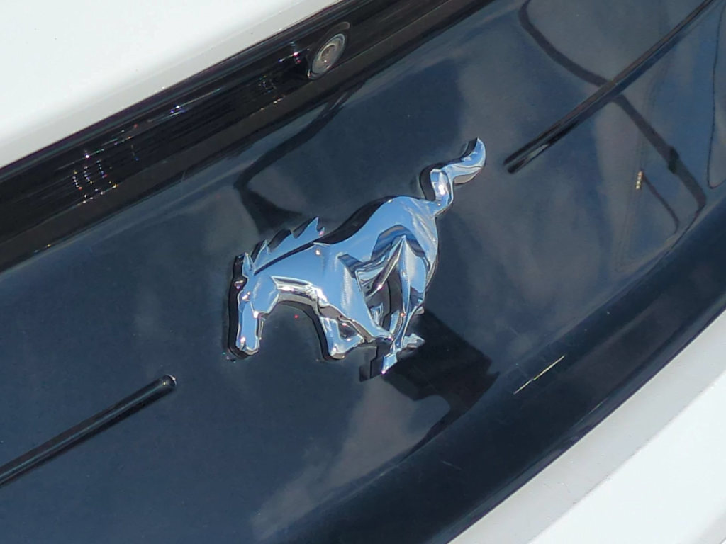 Thumbnail: 2019 Ford Mustang - 7