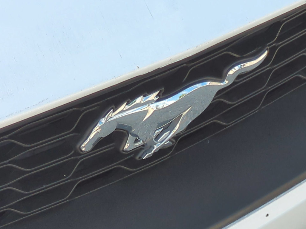 Thumbnail: 2019 Ford Mustang - 32