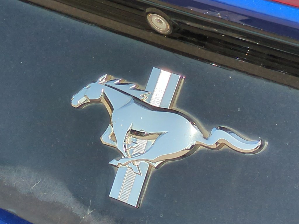 Thumbnail: 2016 Ford Mustang - 7