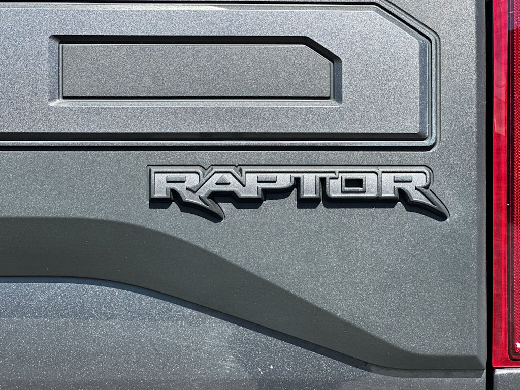 2020 Ford F-150 Raptor 7