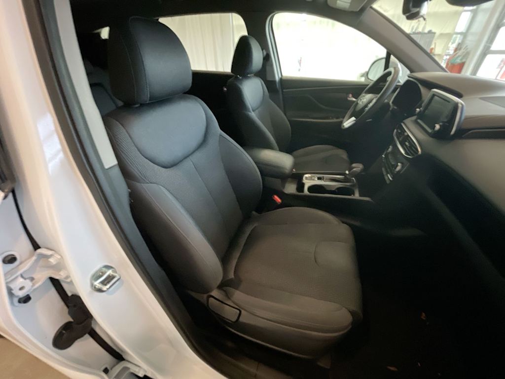 Thumbnail: 2020 Hyundai Santa Fe - 10