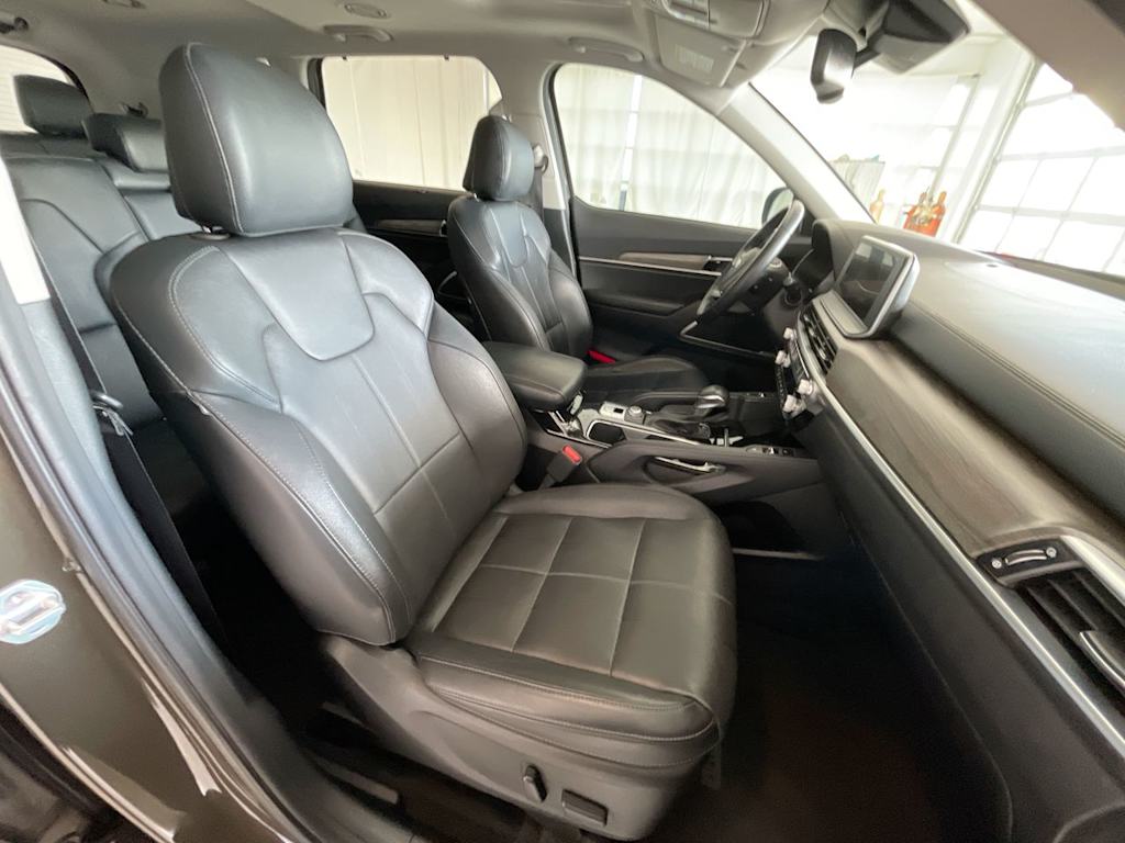 2020 Kia Telluride EX 10