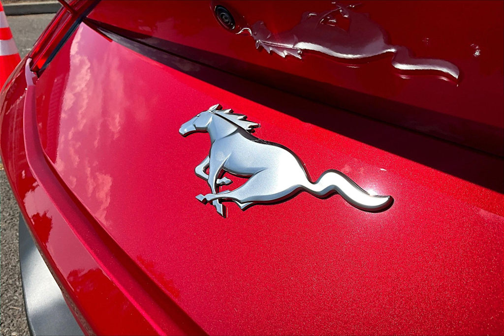 2024 Ford Mustang  8