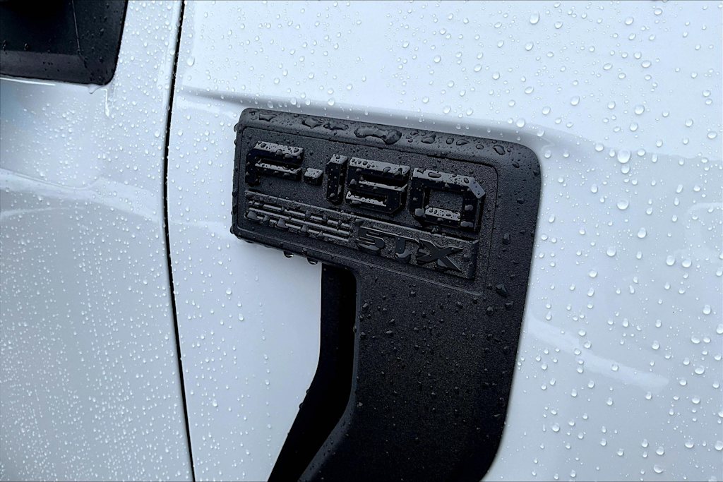2025 Ford F-150 STX 18