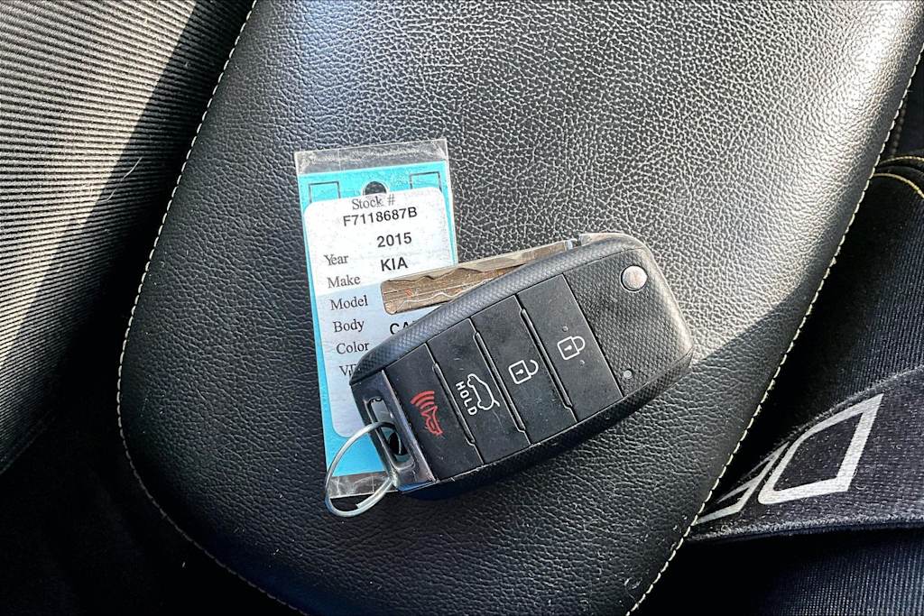 Thumbnail: 2015 Kia Soul - 19