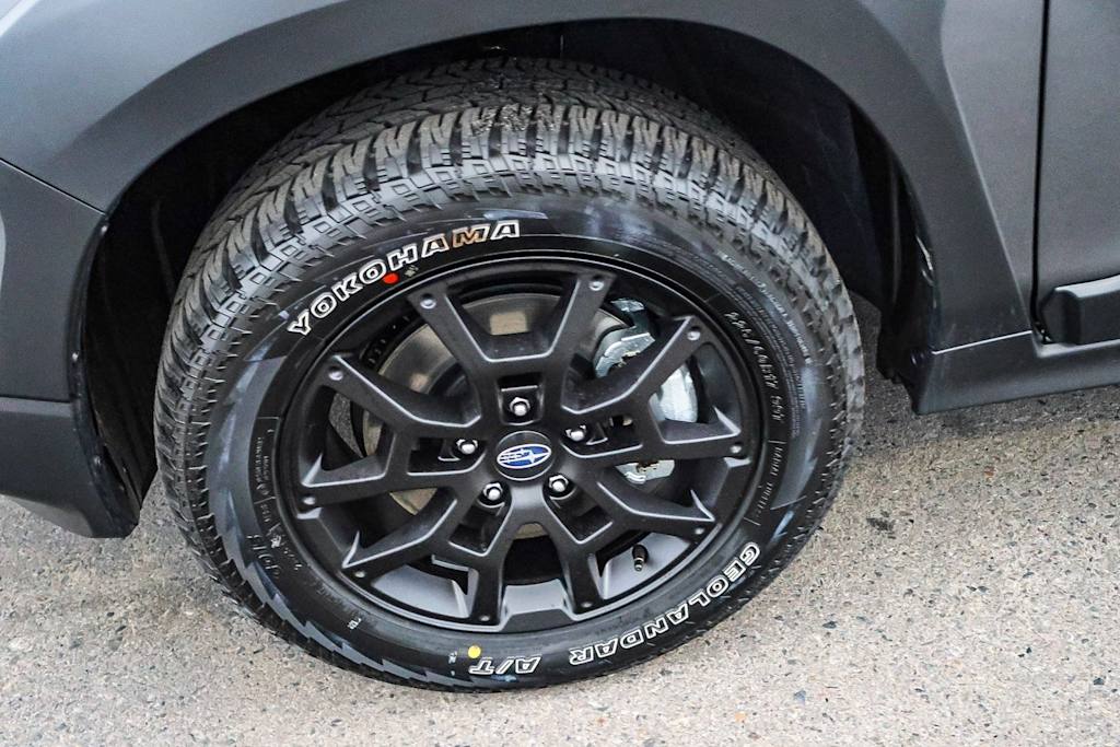 Thumbnail: 2025 Subaru Crosstrek - 20