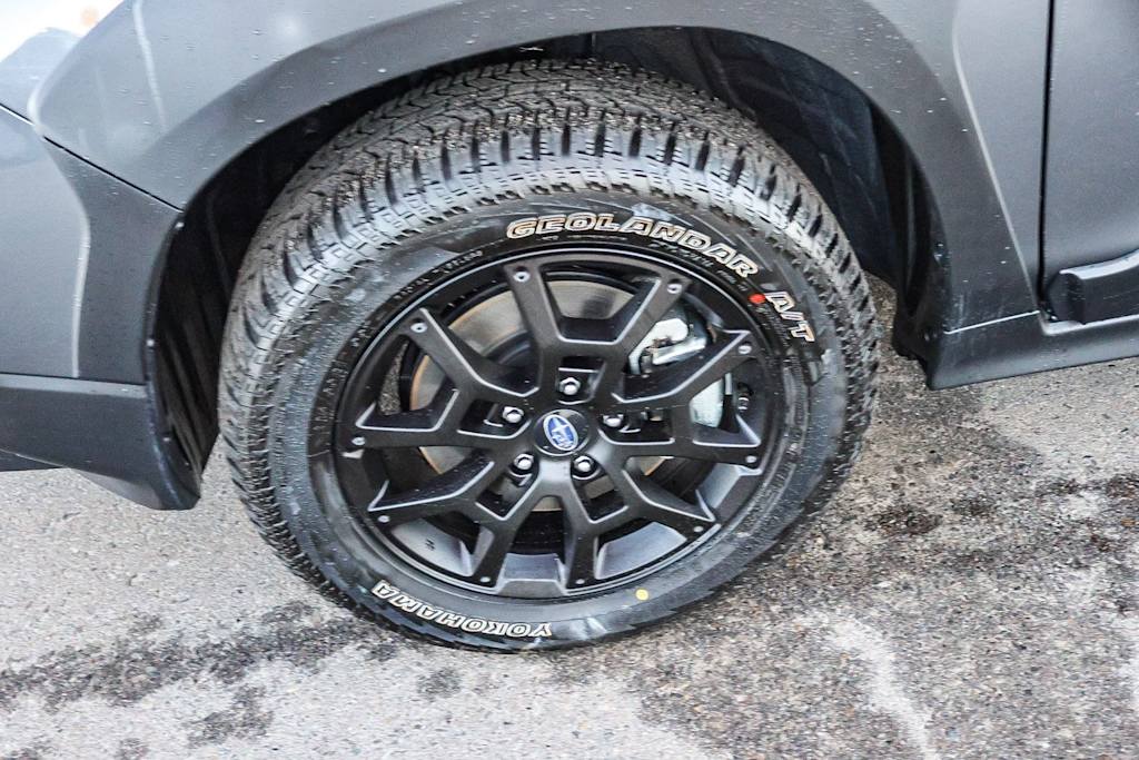 Thumbnail: 2025 Subaru Crosstrek - 20