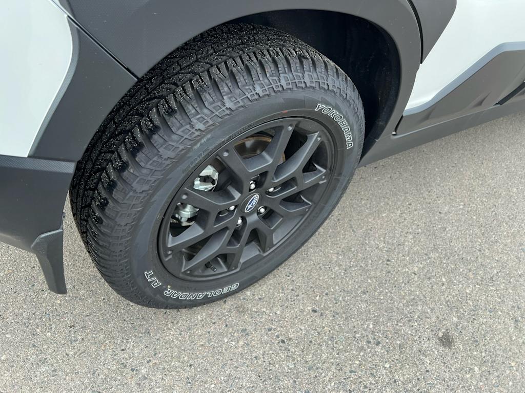 Thumbnail: 2025 Subaru Crosstrek - 27