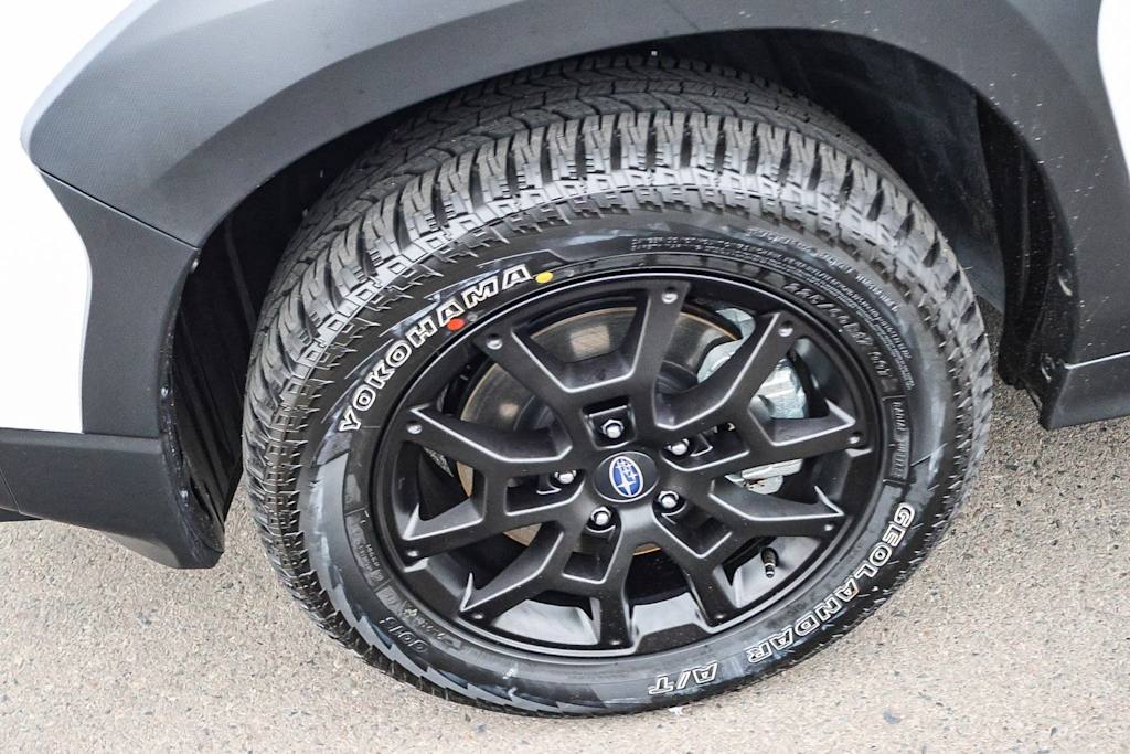 Thumbnail: 2025 Subaru Crosstrek - 21