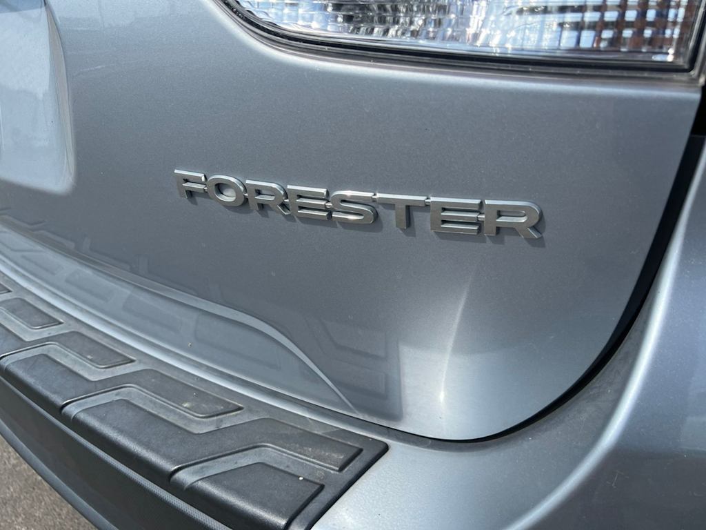 Thumbnail: 2019 Subaru Forester - 6