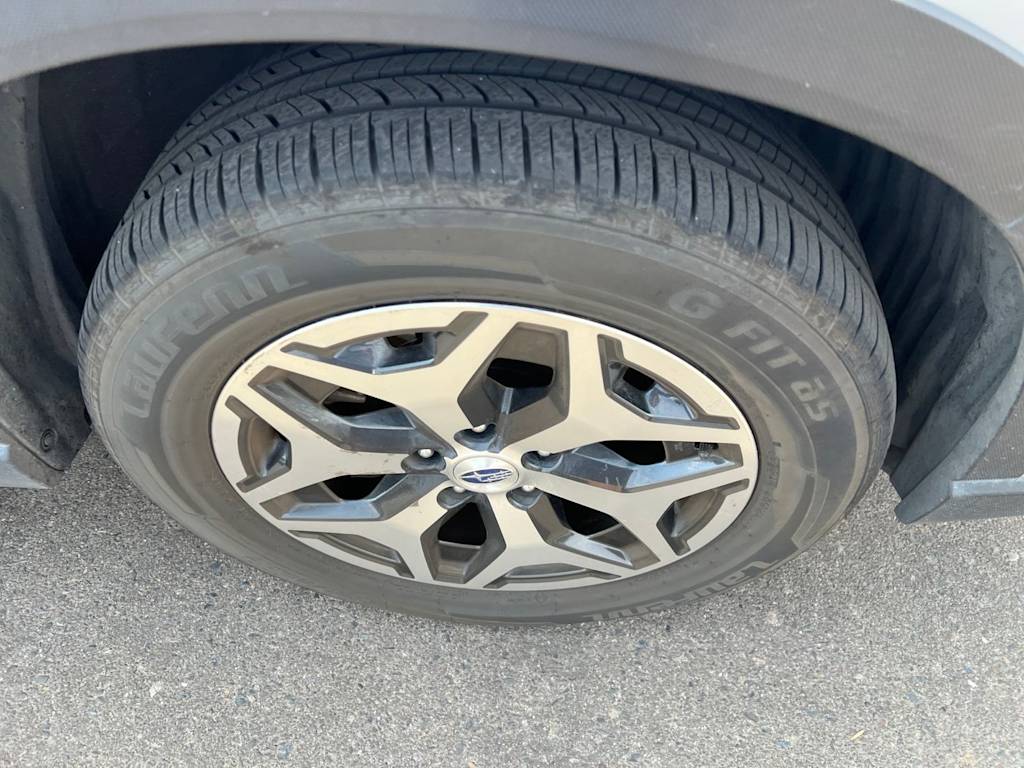 Thumbnail: 2019 Subaru Forester - 17