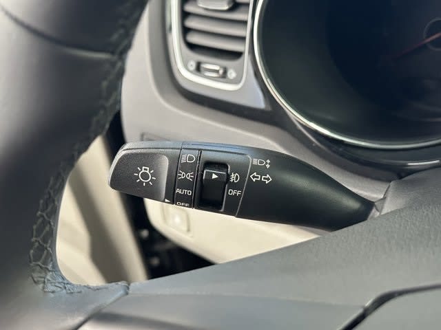 2016 Kia Sedona SX 22