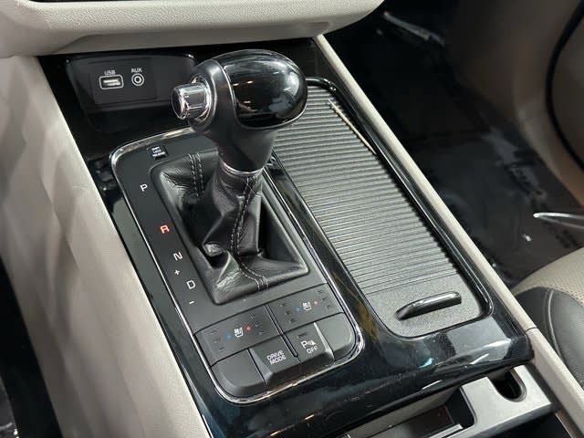2016 Kia Sedona SX 14