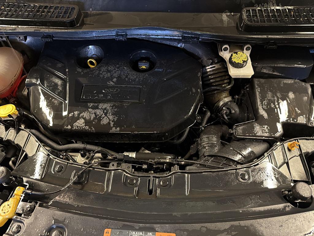 Thumbnail: 2019 Ford Escape - 8
