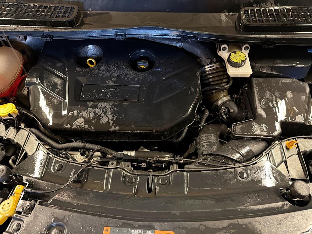 Thumbnail: 2019 Ford Escape - 8