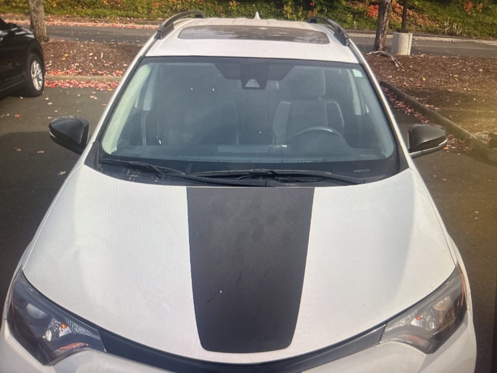 Thumbnail: 2018 Toyota RAV4 - 17