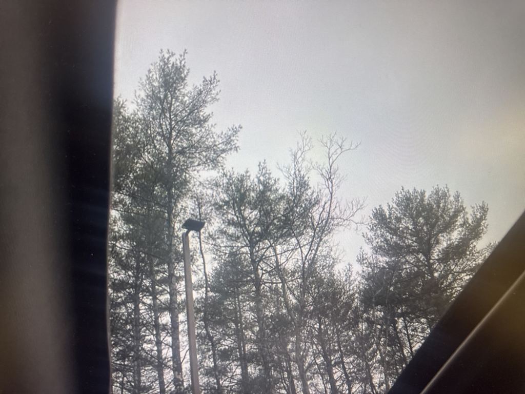 Thumbnail: 2019 Subaru Outback - 15