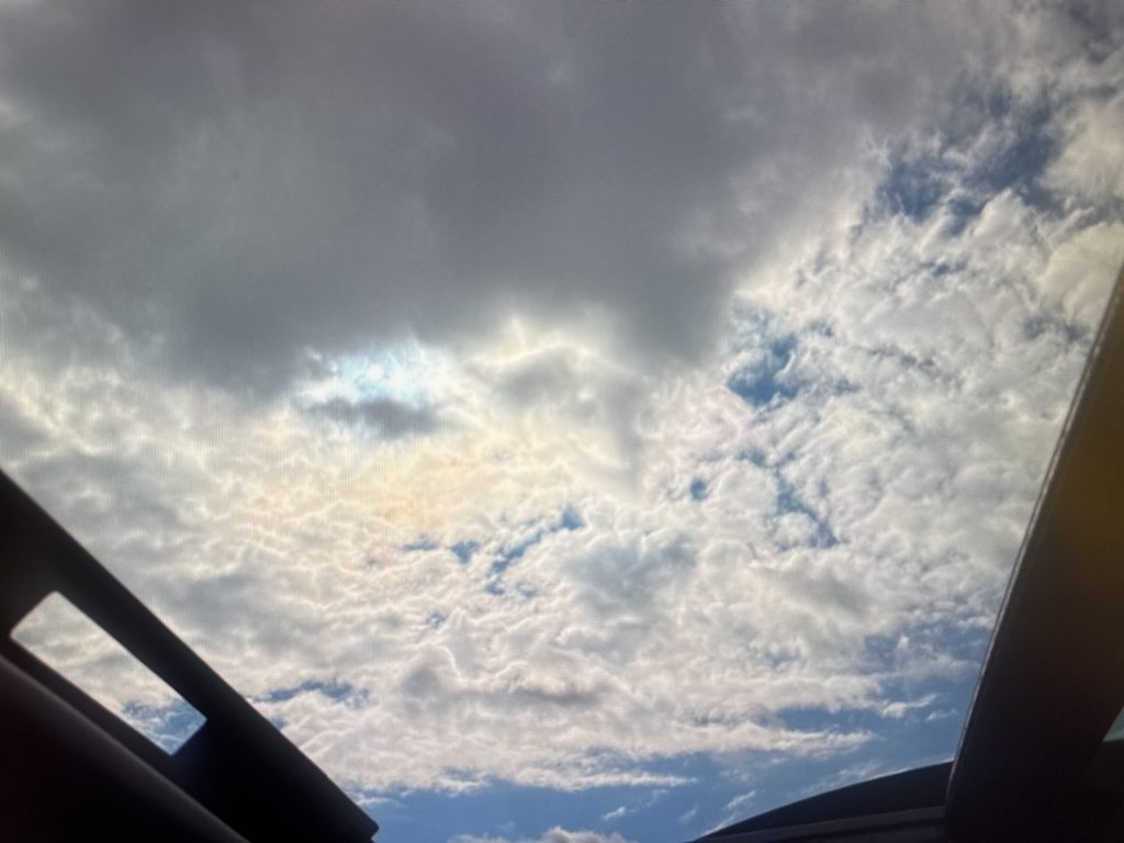 Thumbnail: 2016 Subaru Forester - 13