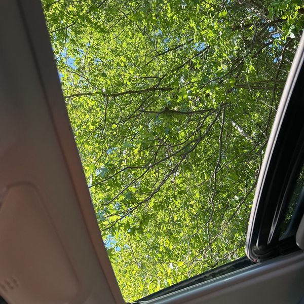 Thumbnail: 2021 Toyota RAV4 - 14
